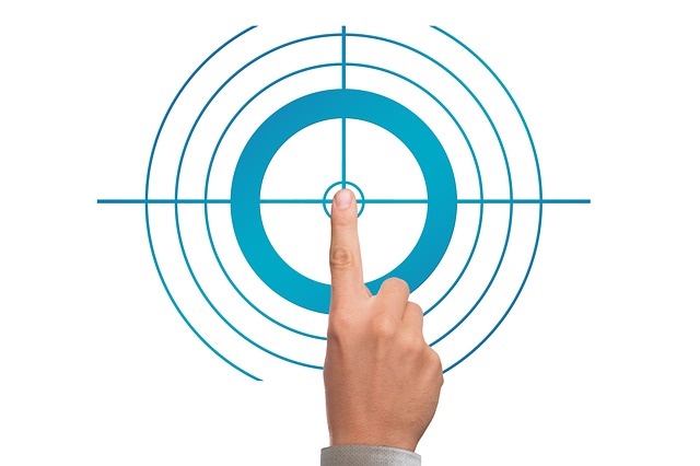 Plan de Organización / Business plan