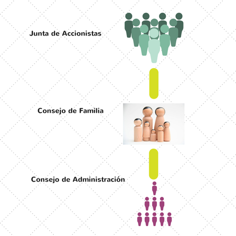 Empresa familiar. Estructuración y órganos de gobierno.