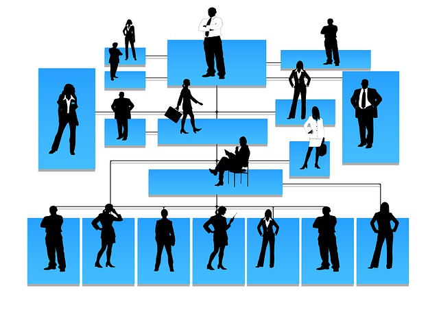 Control de gestión